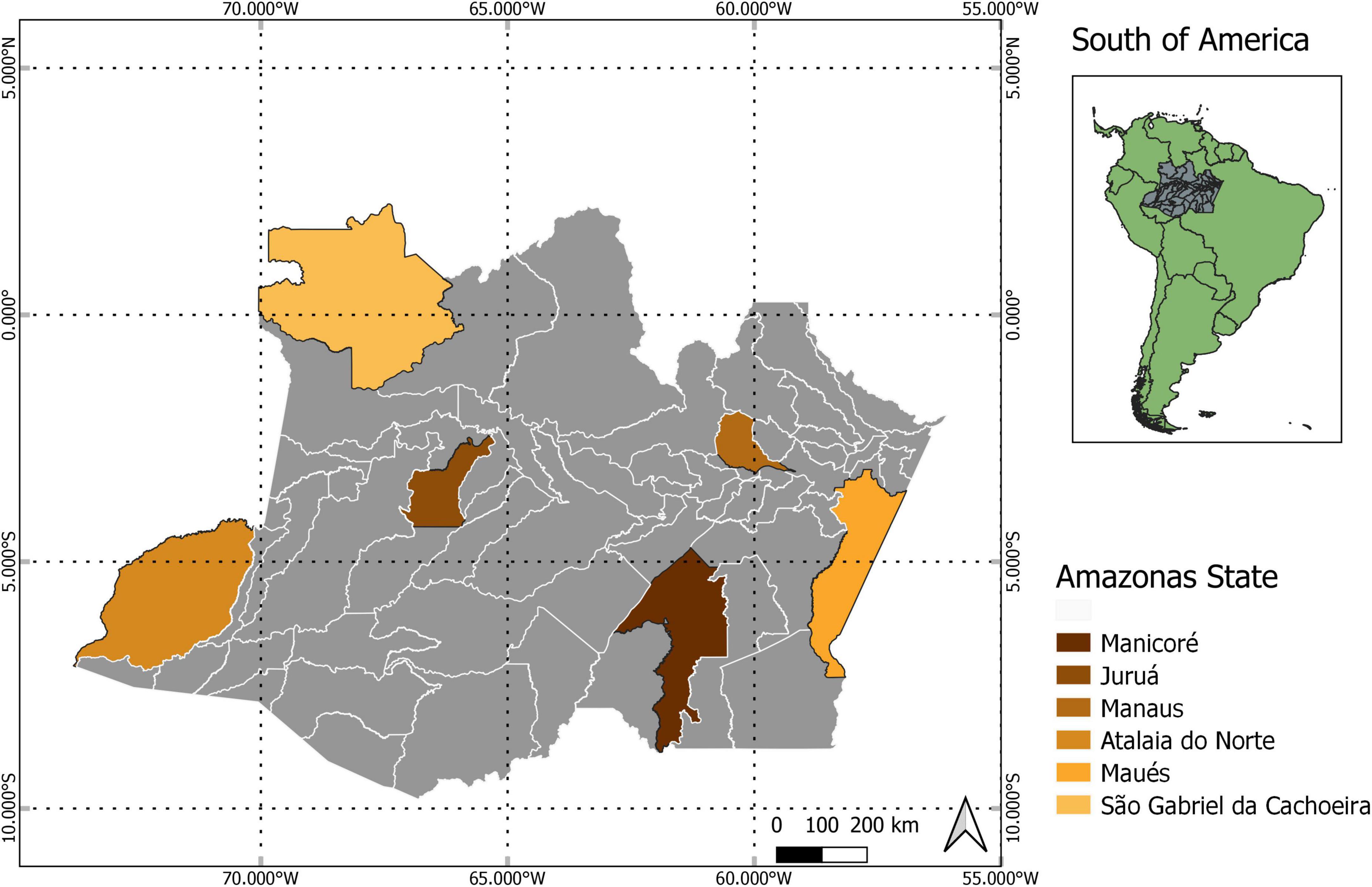 Soil fertility and drought interact to determine large variations in wood production for a hyperdominant Amazonian tree species